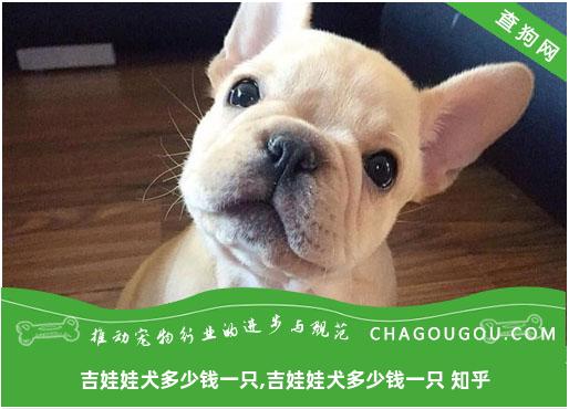 吉娃娃犬多少钱一只,吉娃娃犬多少钱一只 知乎